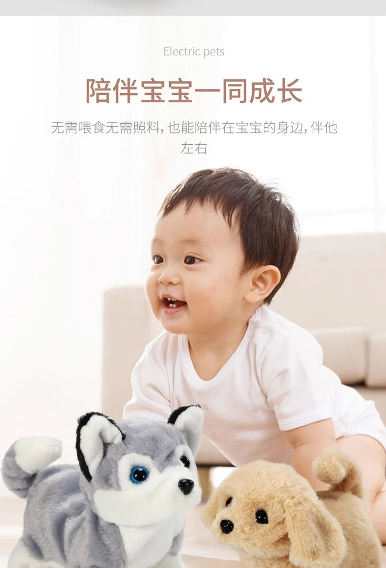 Electric Simulation Plush Toy | Arroura Studio