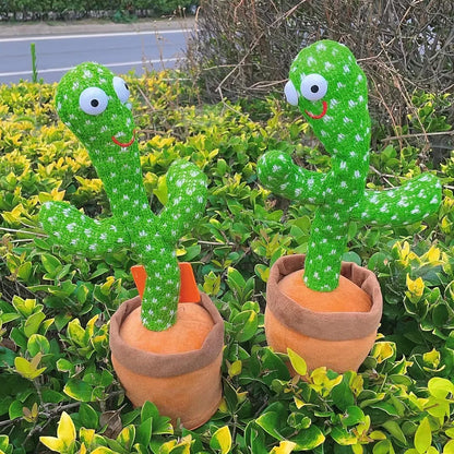 Dancing Cactus Repeat Talking Toy